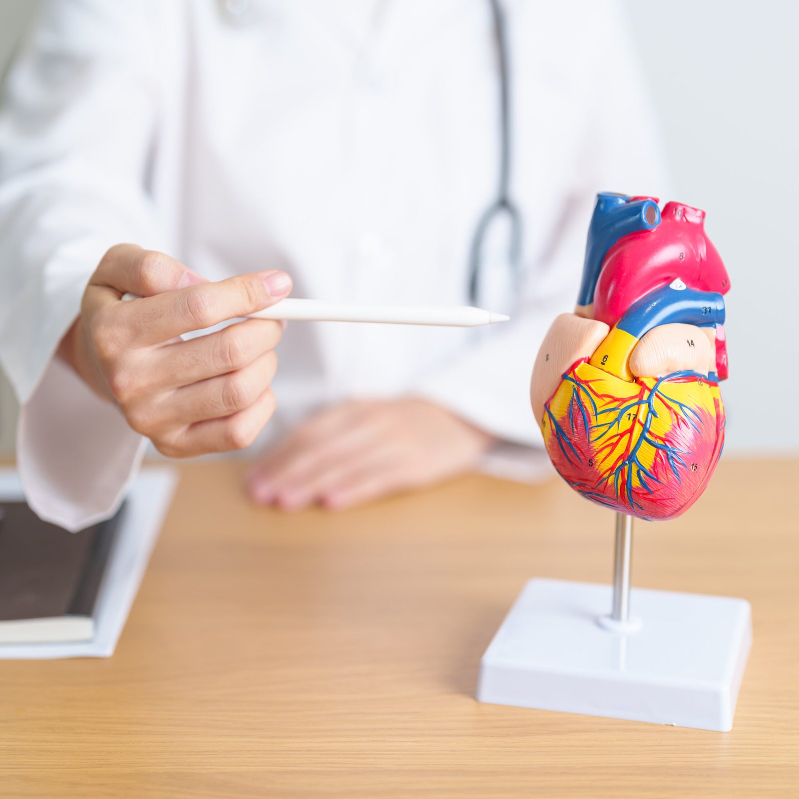 Cardiology